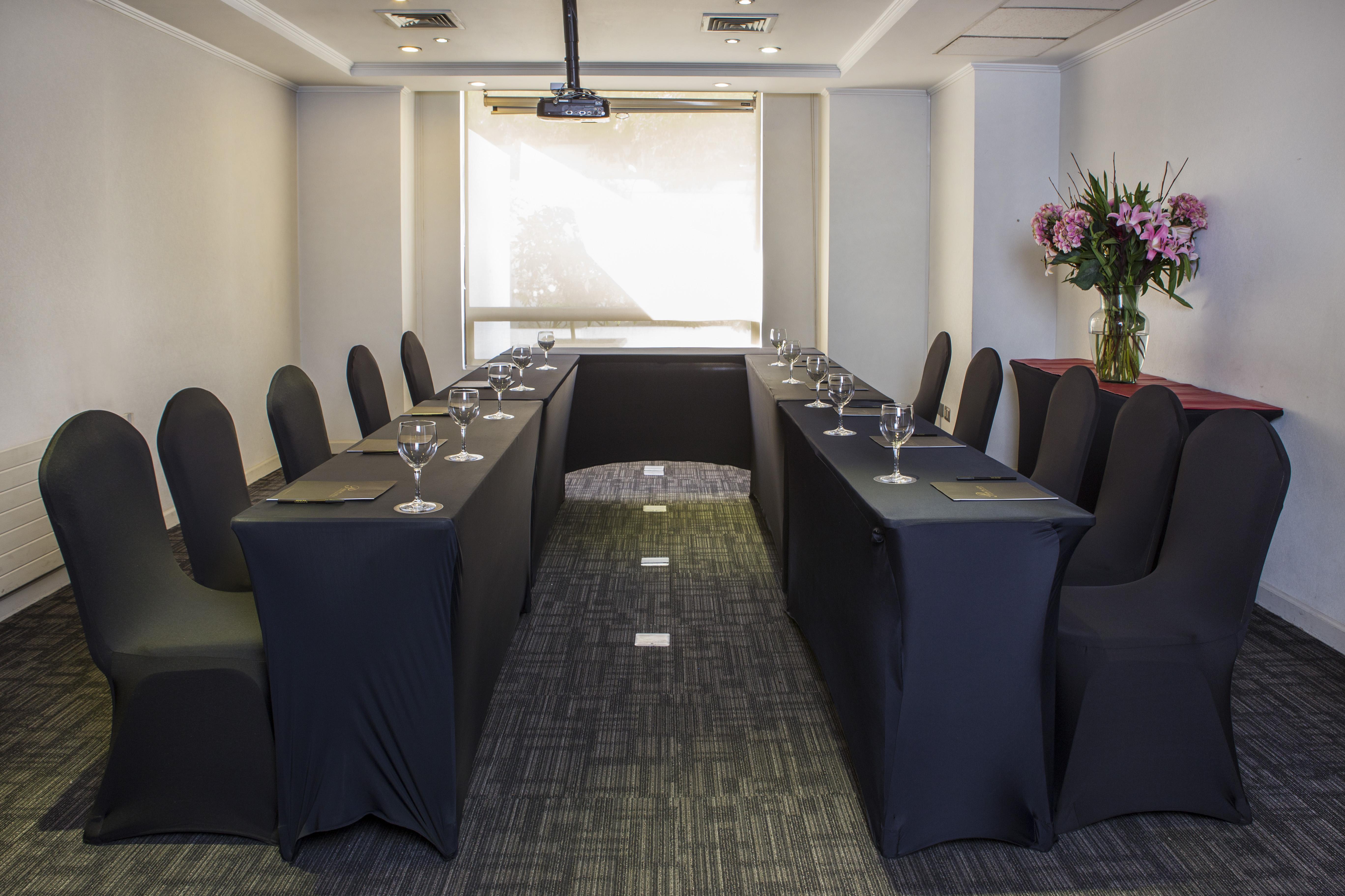 Park Plaza Bonaparte Boutique Сантьяго Экстерьер фото